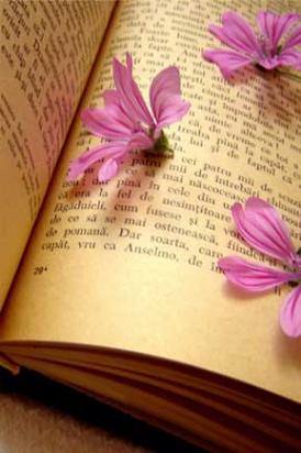 book and flower picture