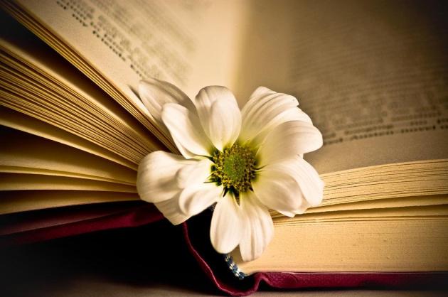 book-flower