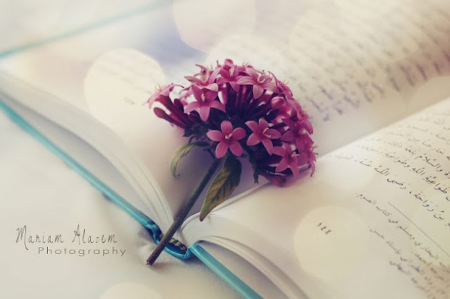 day book and flower